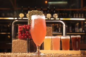 Top Breweries in Kolkata - The GRID